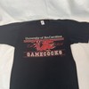 Vintage 80S USC Hoodie - South Carolina Gamecocks Sweatshirt for NCAA Fans