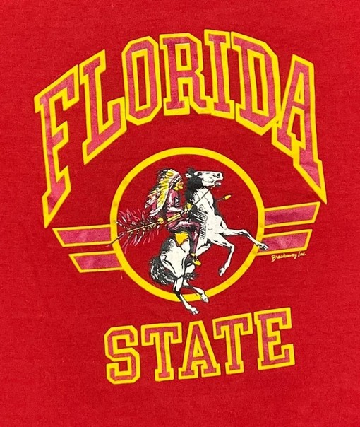 Vintage 90s Florida State University Seminoles T Shirt, Sweatshirt, Hoodie - Ideal Gifts for State University Shirt - Image 2