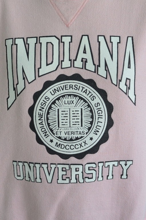Vintage 90s Indiana University Hoosiers School Seal Pullover for NCAA Fans - Show Your State University Spirit - Image 2