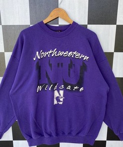 Vintage 90s Northwestern Wildcats Sweatshirt, Retro NCAA Shirts, Gift For Her, Gift For Him, Hoodie