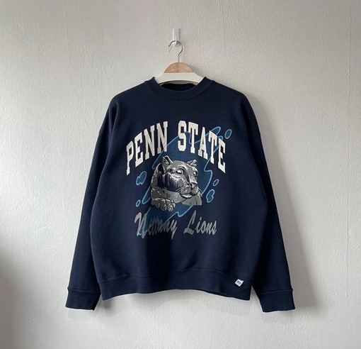Vintage 90s Penn State Nittany Lions Crewneck Sweatshirt and Hoodie