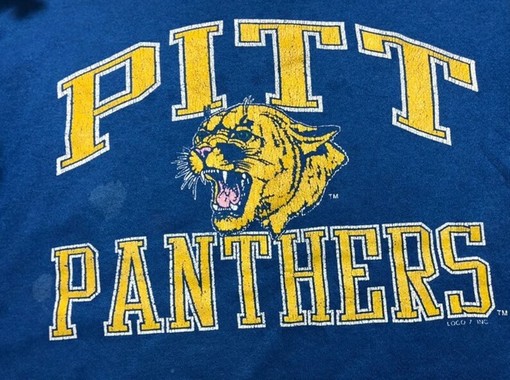 Vintage 90s Pitt Panthers Blue Sweatshirt, College Shirts, Gift For Her, Gift For Him - Image 2