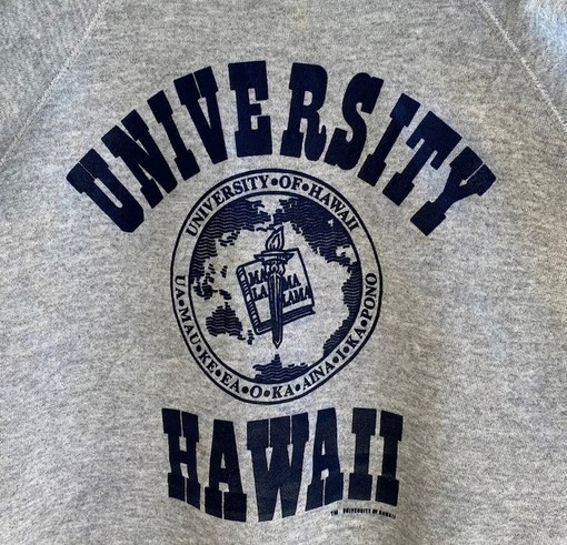 Vintage 90s University Of Hawaii Crewneck Sweatshirt, American University T Shirt, Hoodie - Image 2