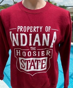 Vintage 90s University of Indiana Hoosiers Crewneck Sweatshirt for NCAA Fans - Stay Warm in Your State University Colors
