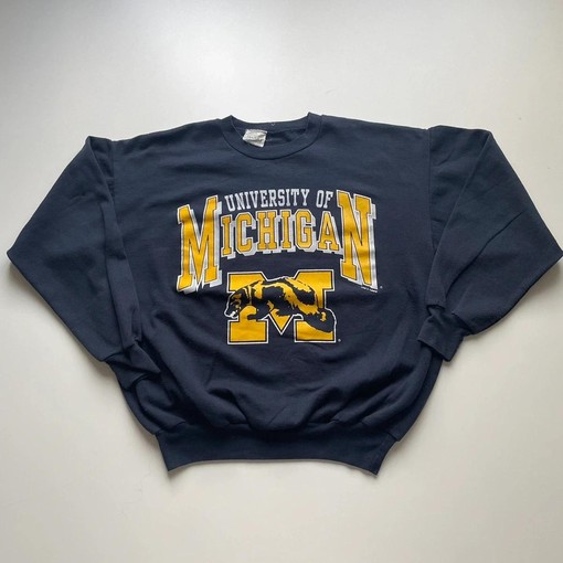 Vintage 90s University of Michigan Wolverines NCAA Hoodie, Sweatshirt, and Crewneck Sweatshirt - Full Size