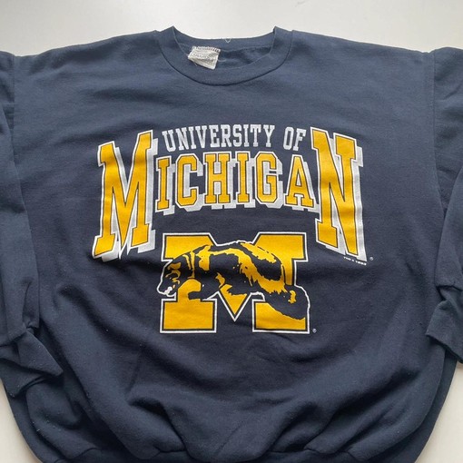 Vintage 90s University of Michigan Wolverines NCAA Hoodie, Sweatshirt, and Crewneck Sweatshirt - Full Size - Image 2