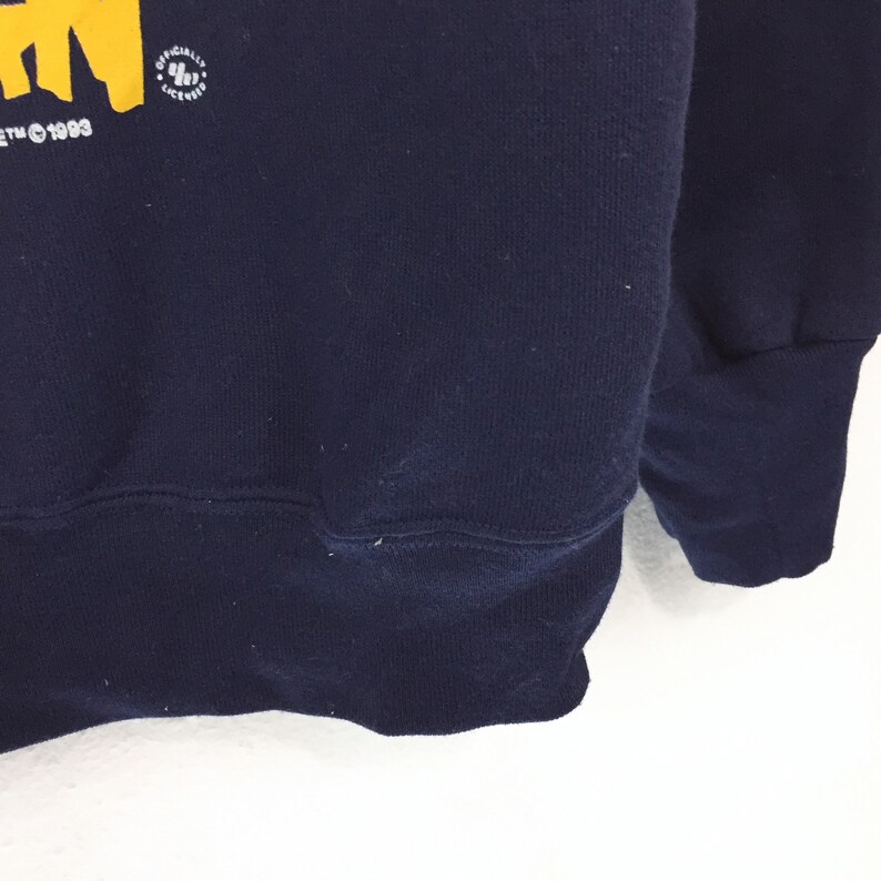 Vintage 90s Washington Huskies Sweatshirt, Women's Basketball Washington NBA 1993 Sweatshirt - Image 3