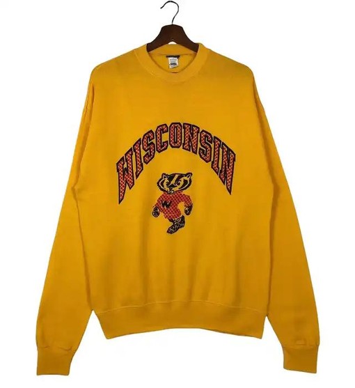 Vintage Bucky Badger Sweatshirt from the 1990s, Wisconsin Travel Gift, University Student Gift with vintage ncaa shirts