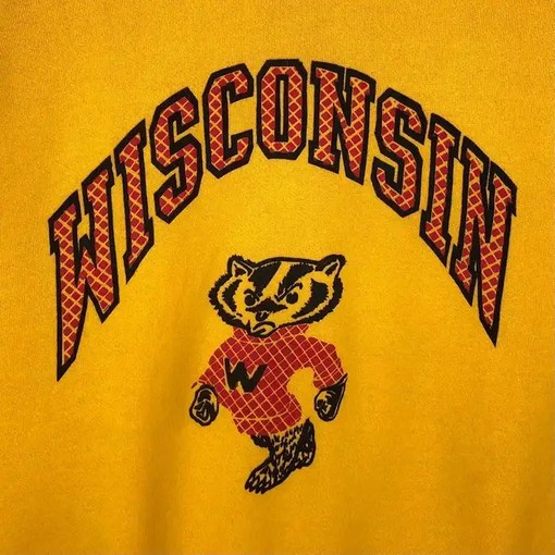 Vintage Bucky Badger Sweatshirt from the 1990s, Wisconsin Travel Gift, University Student Gift with vintage ncaa shirts - Image 2