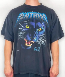Vintage Carolina Panthers Realism T-Shirt Pullover Hoodie - Reprinted for Fans