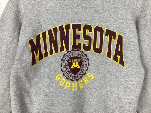 Vintage Champion University Of Minnesota Golden Gophers NCAA Sweatshirt, College Football Pullover Crewneck - Image 2
