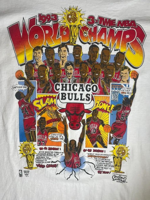 Vintage Chicago Bulls Champions Comic Series Sweatshirt Hoodie - Retro NBA Design - Image 2