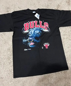 Vintage Chicago Bulls Tee, Sweatshirt, Hoodie - Retro NBA Style