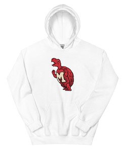 Vintage Maryland Terrapins Hoodie Sweatshirt Sport Shirt - 1963 Terrapins Art - NCAA Shirts for Women