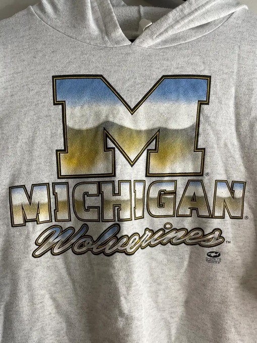 Vintage Michigan Wolverines T-Shirt for American Football Lovers - Image 2
