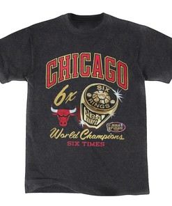 Vintage NBA 90s Chicago Bulls Champions Logo Sweatshirt Hoodie - Retro NBA Style