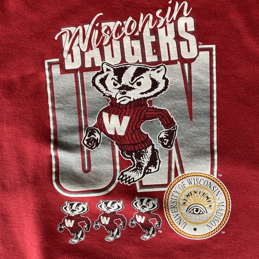 Vintage NCAA Hoodie: Wisconsin Badgers Red Bucky College Football Sweater - Image 2