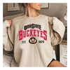 Vintage NCAA Ohio State Buckeyes EST. 1870 Unisex Sweater Hoodie with American University Shirt Option