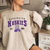 Vintage NCAA Washington Huskies Sweatshirt, Est. 1861 College Football T-Shirt