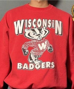 Vintage NCAA Wisconsin Badgers Mascot Hoodie Shirt, Perfect Gift for NCAA Fans