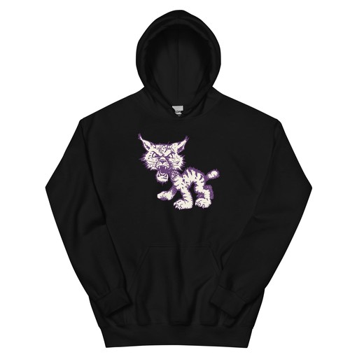 Vintage Northwestern Wildcats Art Hoodie Sweatshirt - Vintage NCAA Shirts