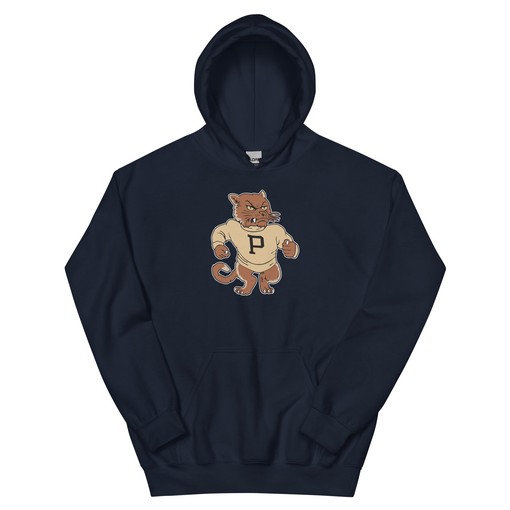 Vintage Penn State Mid Century Nittany Lions Art Sweatshirt Sport Shirt