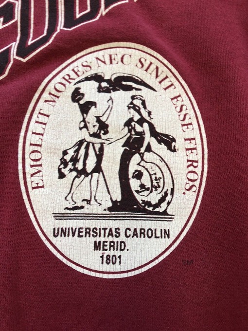 Vintage South Carolina Gamecocks Hanes Activewear Garnet - NCAA Shirts for Fans - Image 2