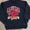 Vintage South Carolina Gamecocks Logo Sweatshirt | American University T-Shirt