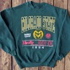 Vintage Style 1994 Colorado State University Sweatshirt, Colorado State Shirt, Perfect Gift for Her