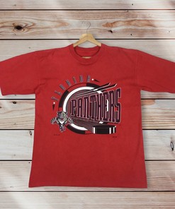 Vintage Style 90S Nhl Florida Panthers Crew Neck T-Shirt Printed Spell Out Big Logo Nhl Florida Panthers Shirts
