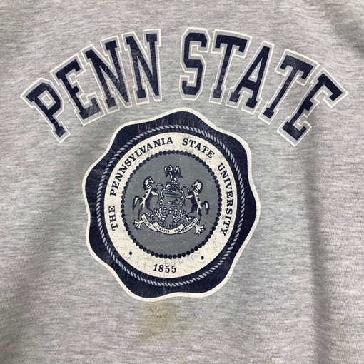 Vintage Style 90s Champion Penn State University Crewneck Sweatshirt, Sweater Pullover, and Hoodie - Image 2
