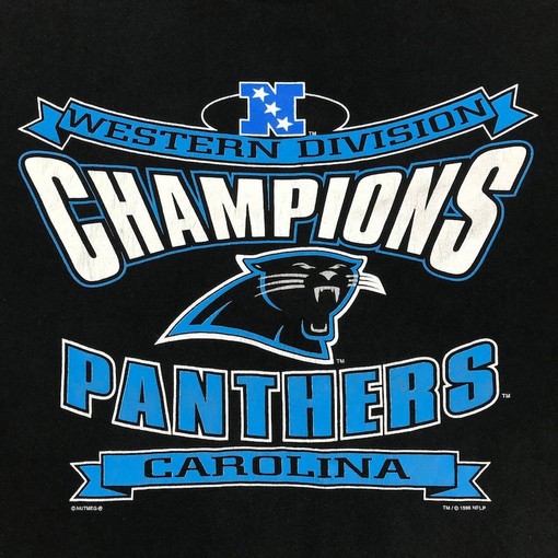 Vintage Style 90s NFL Carolina Panthers Printed Spell Out Shirts, Sweatshirt, Hoodie - Image 2