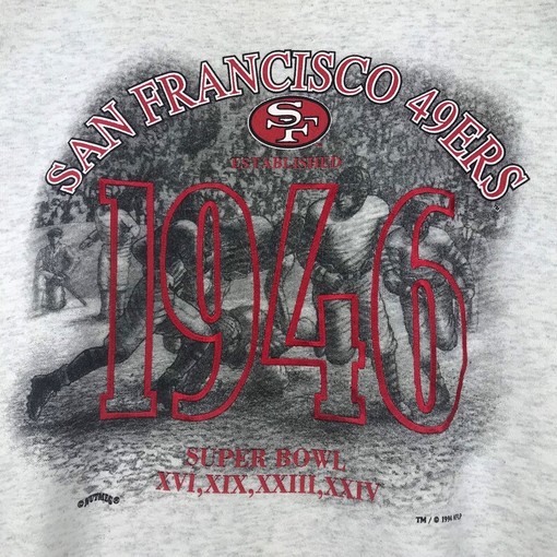 Vintage Style 90s Nutmeg NFL San Francisco 49ers Hoodie Sweatshirt, San Francisco Sweater, and Pullover - Image 2
