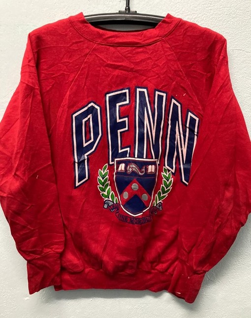 Vintage Style 90s University of Penn State Nittany Lions Sweatshirt - Perfect for Fans of Vintage Style NCAA