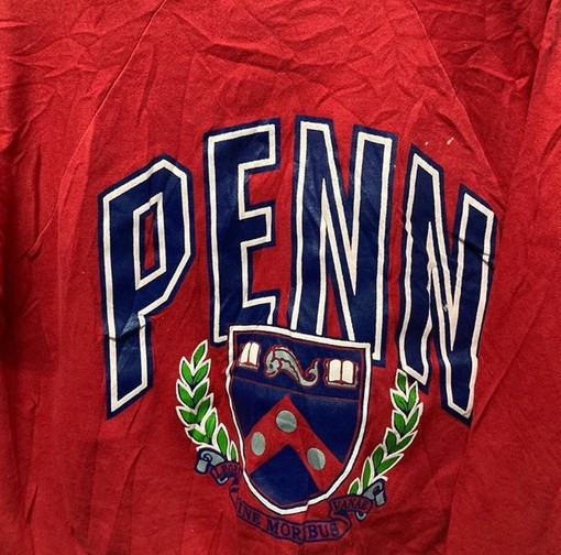 Vintage Style 90s University of Penn State Nittany Lions Sweatshirt - Perfect for Fans of Vintage Style NCAA - Image 2