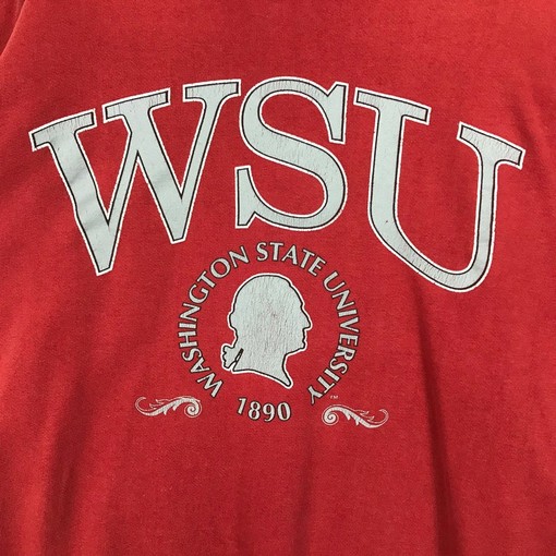Vintage Style 90s Washington State Crewneck Sweatshirt, Washington State Sweater Pullover, Hoodie - Image 2