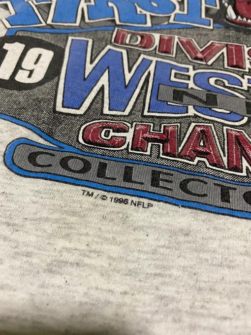 Vintage Style 96 Carolina Panthers Western Division Champions Sweatshirt T-Shirt Ideal Gift for NFL Fans - Image 3