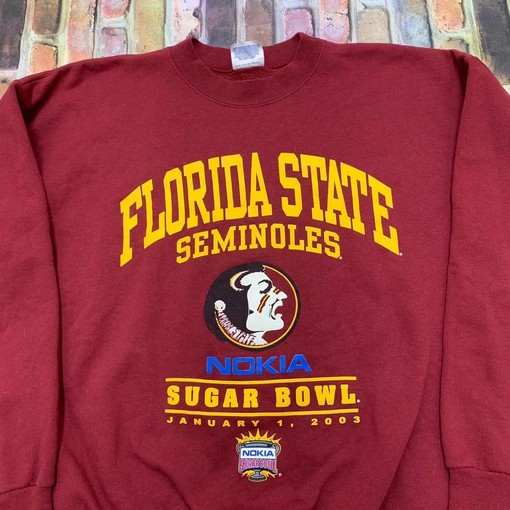 Vintage Style Florida State Seminoles T-Shirt, Sweatshirt, Hoodie - Perfect Gifts for Sports Lovers - Image 2