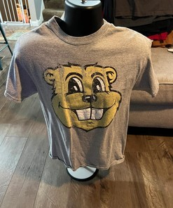 Vintage Style Minnesota University Gophers American Sweatshirt Gifts for NCAA