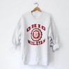 Vintage Style Ohio Wesleyan University Sweatshirt, Ideal Ohio Wesleyan Sweater