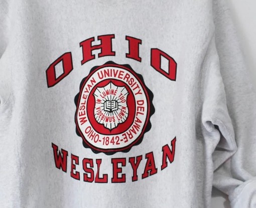 Vintage Style Ohio Wesleyan University Sweatshirt, Ideal Ohio Wesleyan Sweater - Image 2