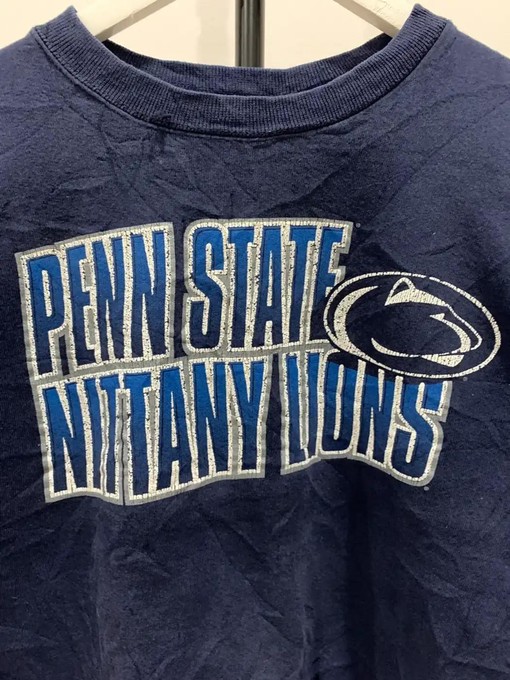 Vintage Style Penn State Nittany Lion Apparel - T-Shirts, Sweatshirts, and Hoodies - Perfect for NCAA Sport Shirts - Image 2