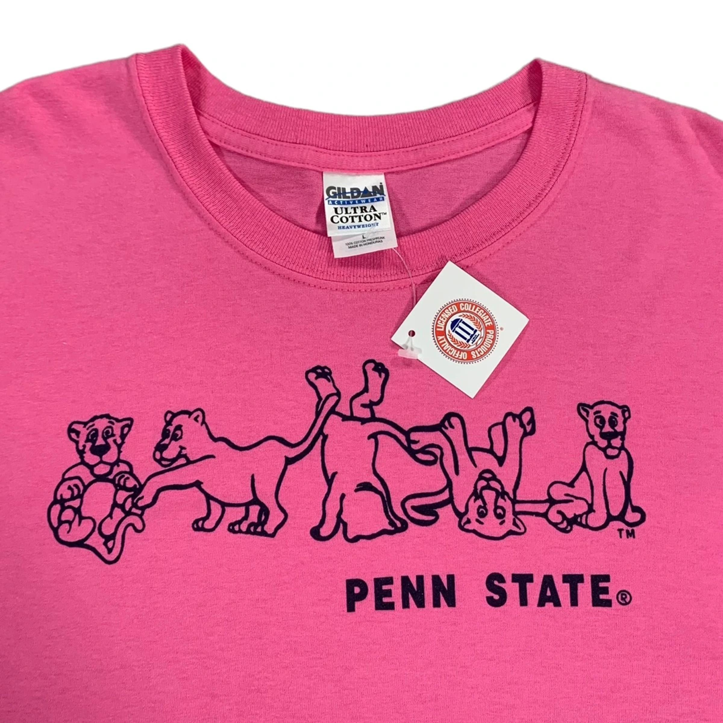 Vintage Style Penn State Nittany Lions Unisex Pink College Hoodie Sweatshirt - Full Size Gifts for NCAA Sport Shirts - Image 2