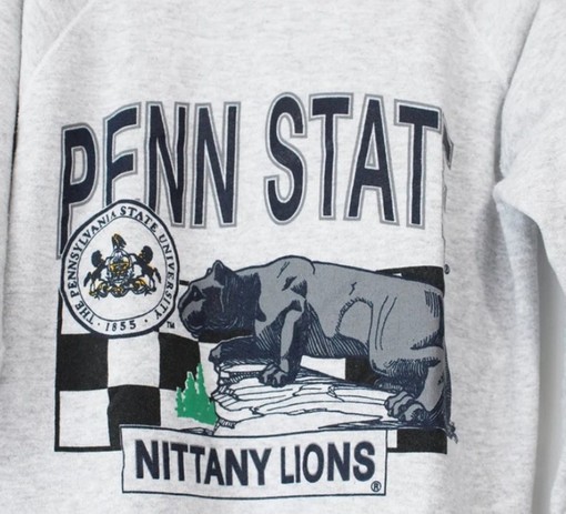 Vintage Style Penn State University Nittany Lions Sweatshirt and Sweater - Perfect for Fans of Penn State University - Image 2