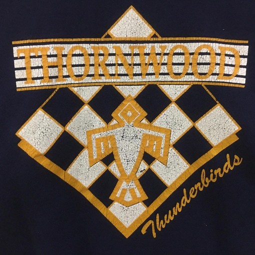 Vintage Style Thornwood Thunderbirds National Football League College Shirts Sweatshirt T-shirt - Image 2
