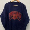 Vintage Style University of Pennsylvania Sweatshirt, Ideal for Pennsylvania University Fans