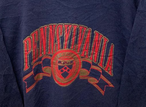 Vintage Style University of Pennsylvania Sweatshirt, Ideal for Pennsylvania University Fans - Image 2