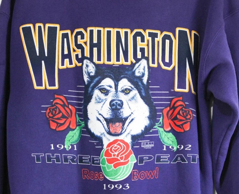 Vintage UW Huskies Hoodie, University of Washington Huskies Sweatshirt for Men from the 90s - Image 2