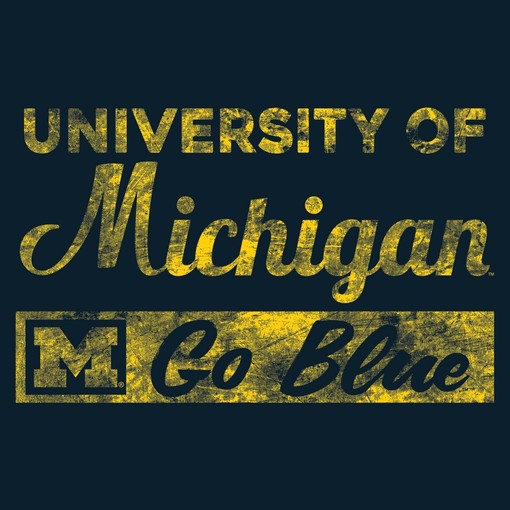 Vintage University of Rochester Yellowjackets Primary Logo College Youth Shirt, Sweatshirt Hoodie for NCAA Fans - Image 2