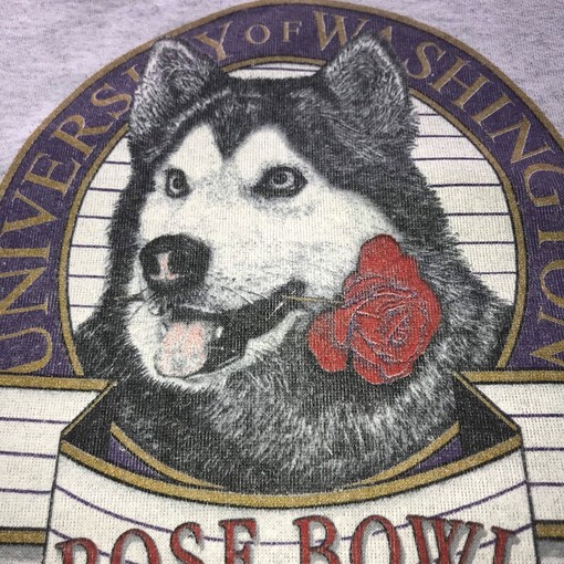 Vintage University of Washington Rose Bowl Sweatshirt, NCAA College Shirt for Girls - Image 2
